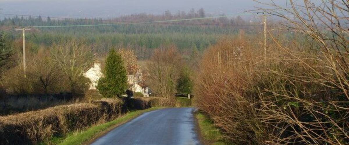 A rural road curving through a countryside with fields, trees, and distant mountains.
