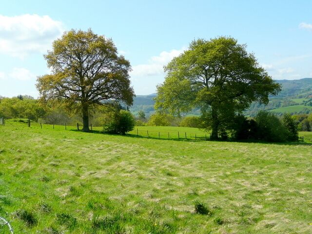 May Hill pasture land. See 522446 for the same view August 2007.