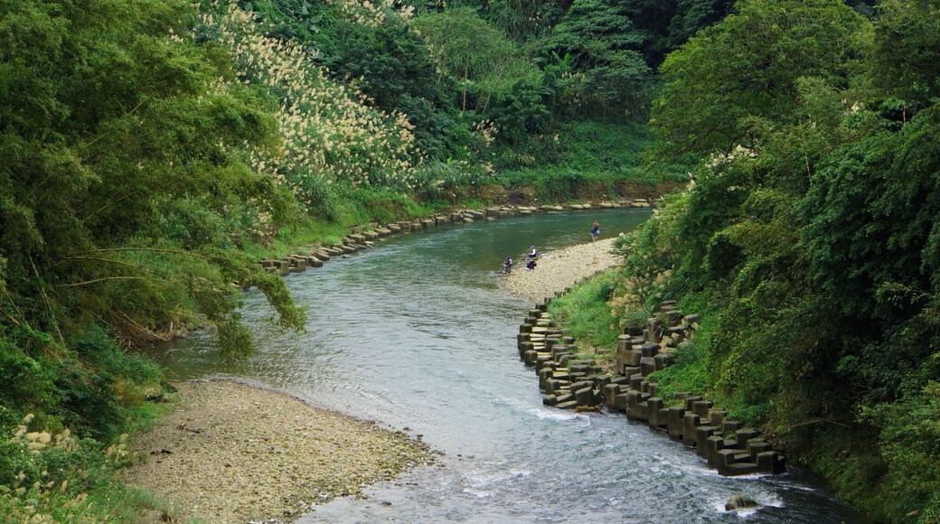 Jingmei River æŻçŸæșȘ