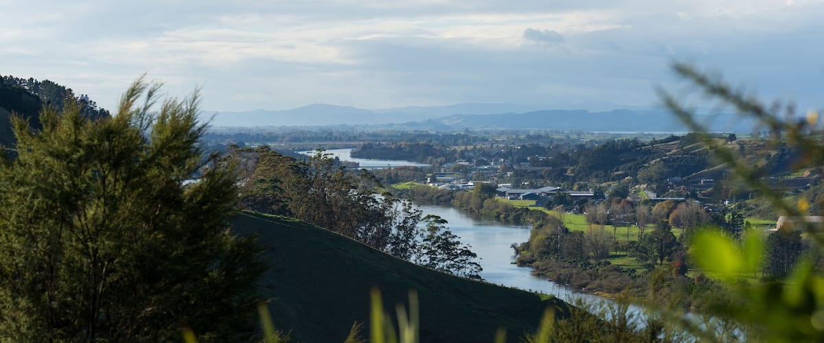 A river winding through a valley with hills and a town in the distance.