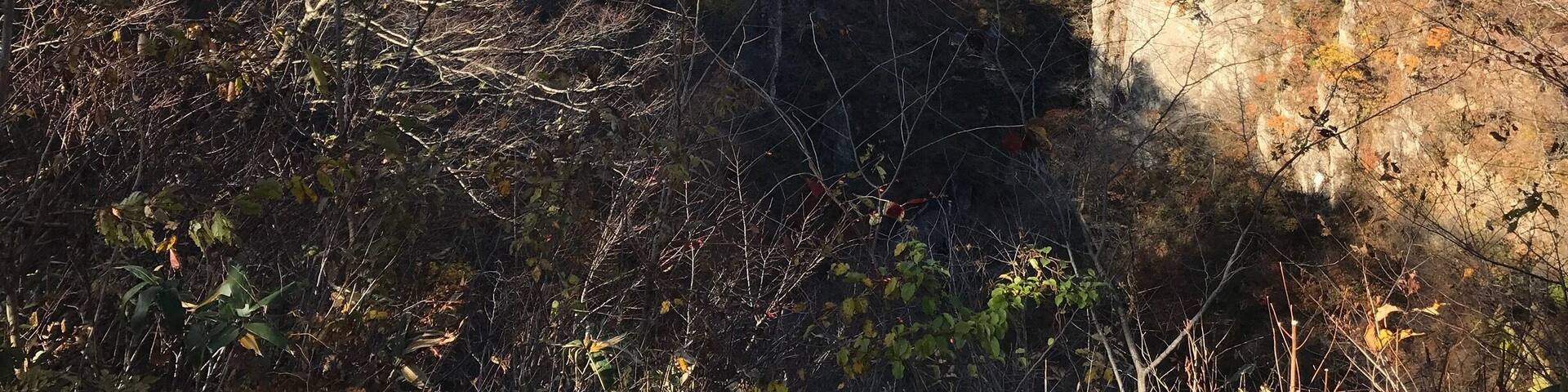 An impressive gauge in Miagi north of Japan showing the beautiful colours of Autumn.