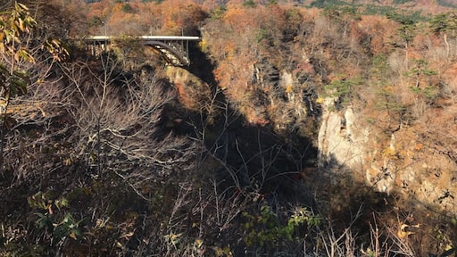 An impressive gauge in Miagi north of Japan showing the beautiful colours of Autumn.