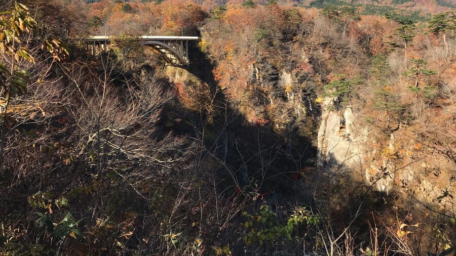 An impressive gauge in Miagi north of Japan showing the beautiful colours of Autumn.