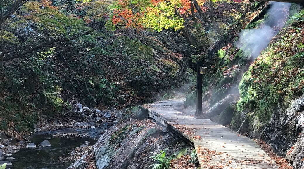 Along the path there are hot springs spouting out of every clump of trees!