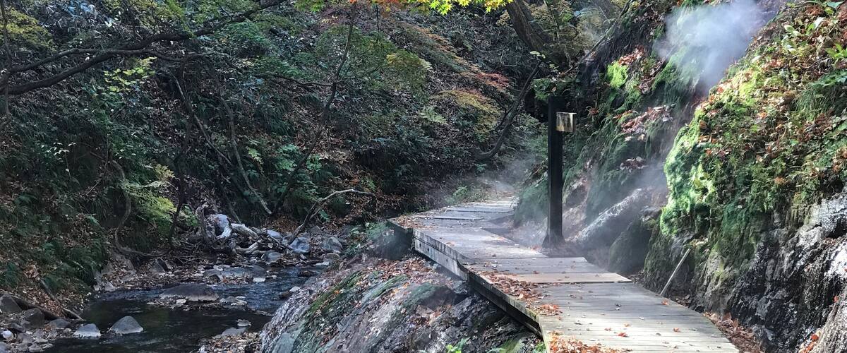 Along the path there are hot springs spouting out of every clump of trees!