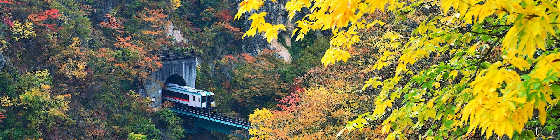 The train is coming out of the tunnel through the Naruko gorge during the autumn colors of the beautiful autumn leaves in Miyagi, Japan.