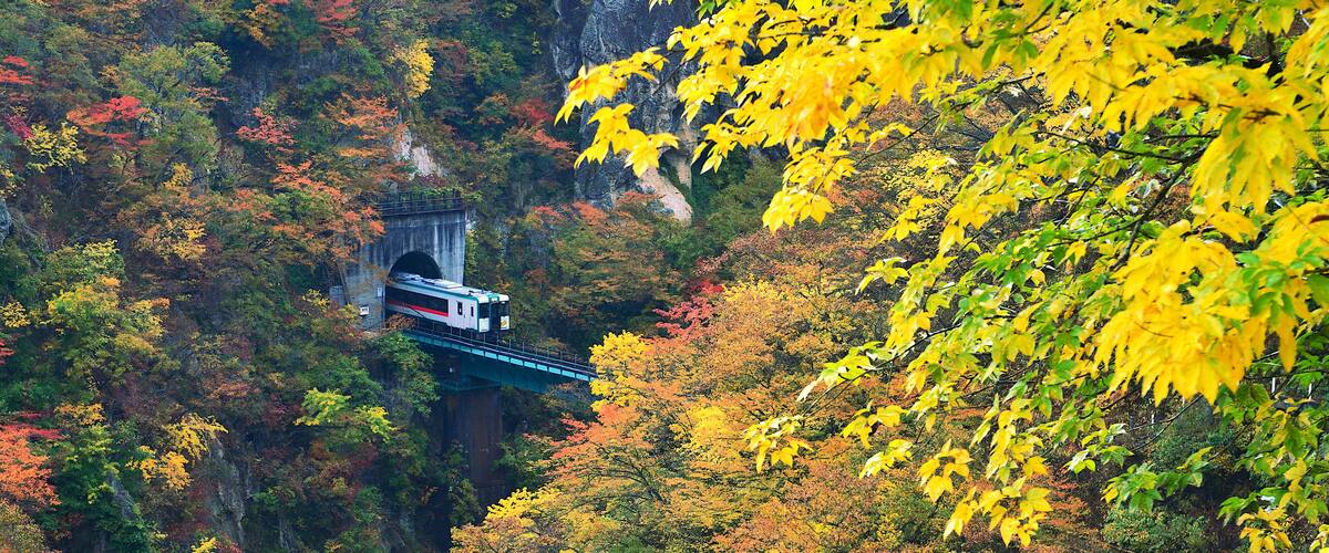 A train on a bridge through a forest with autumn foliage.