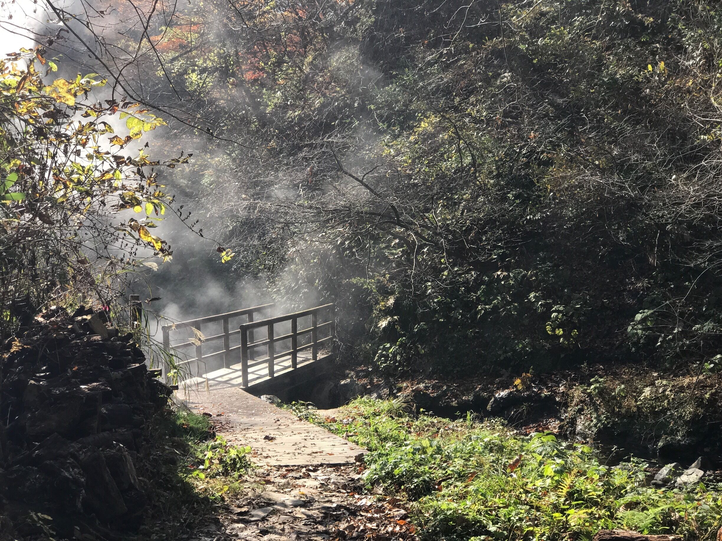 Following a small wooden path that winds its way up a hot volcanic stream with a small foot bridge that leads to a magical place!