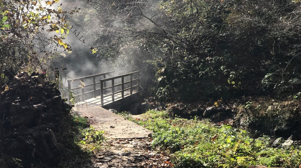 Following a small wooden path that winds its way up a hot volcanic stream with a small foot bridge that leads to a magical place!