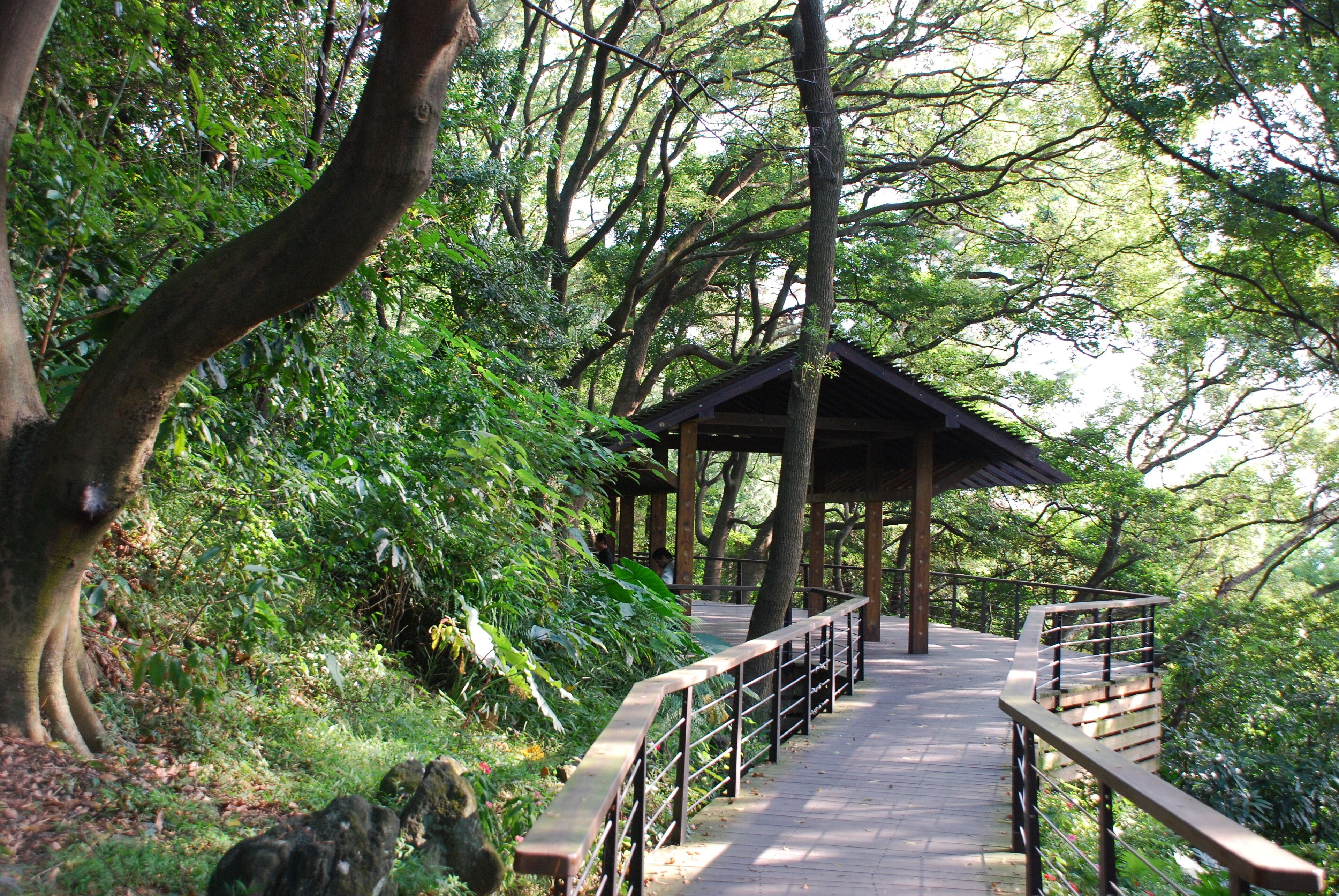 333, Taiwan, 桃園市龜山區龜山里