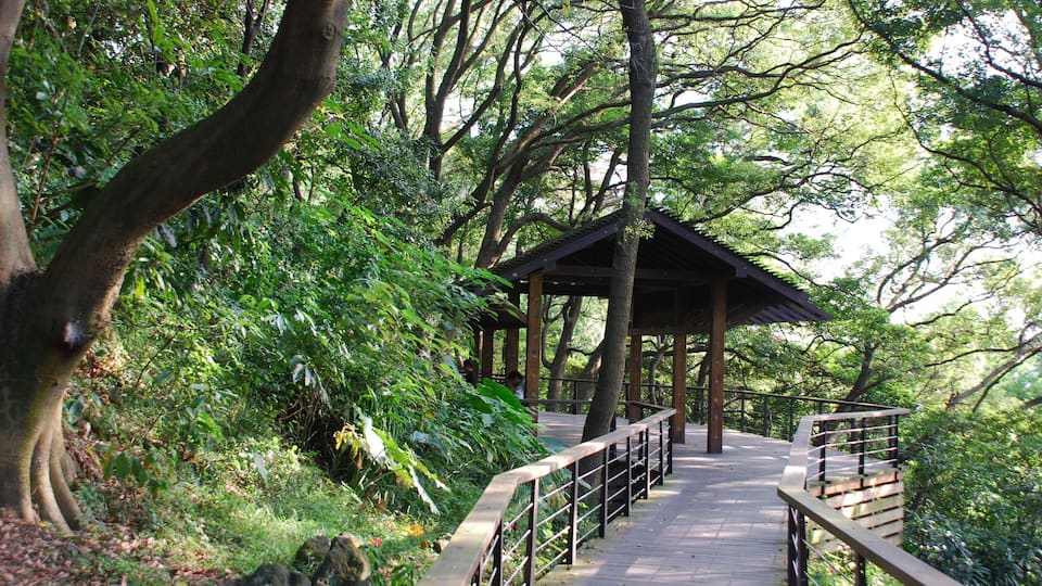 333, Taiwan, 桃園市龜山區龜山里