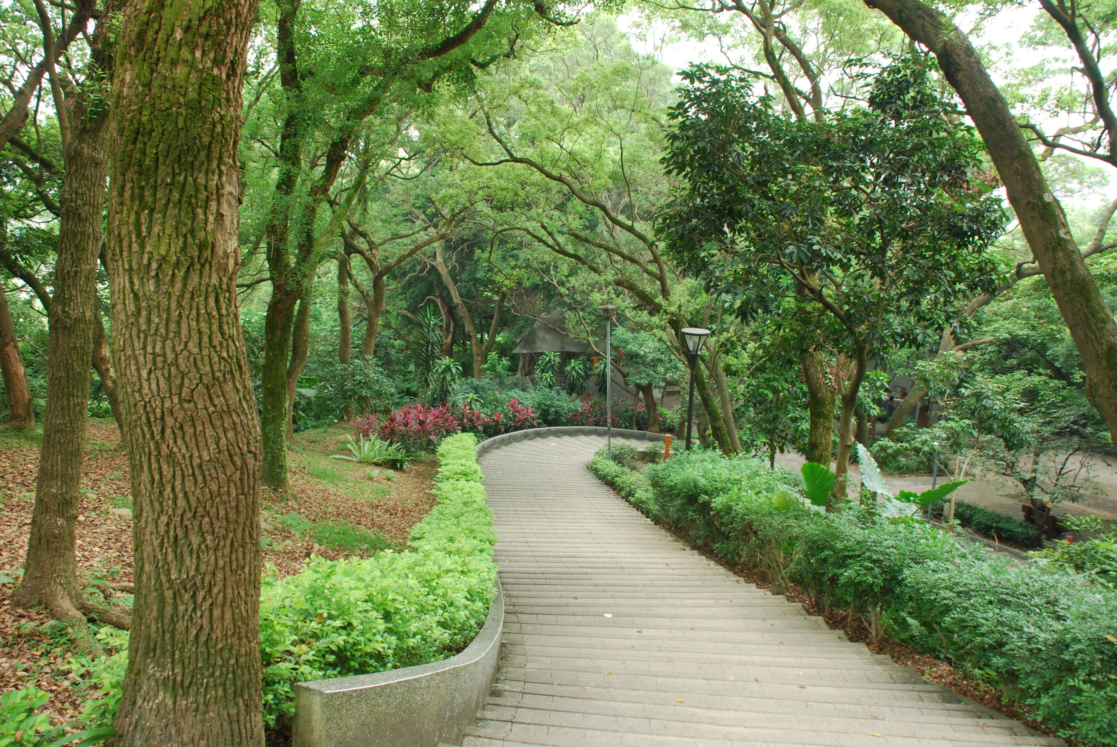 333, Taiwan, 桃園市龜山區龜山里