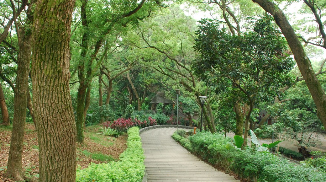 333, Taiwan, 桃園市龜山區龜山里