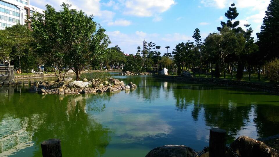 Un estanque tranquilo con rocas y árboles, rodeado por un parque con un edificio al fondo.