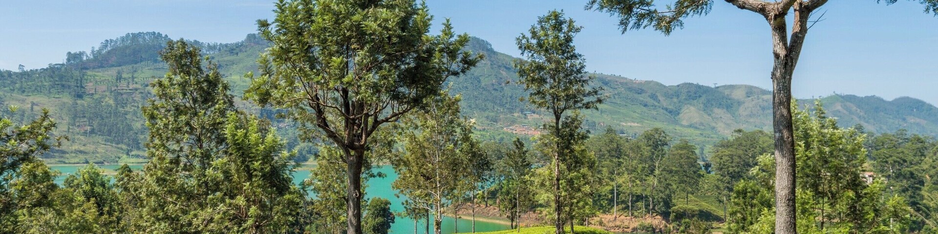It is always amazing to beat the path and walk along the unknown road which leads to local gems. I was wandering around Hatton region near my home and walked along the tea plantations without having any idea where I'm going. Finally, I ended up here with a breath-taking view of the Castlereagh Reservoir. Don't be afraid to beat the path. #LoveMyTown