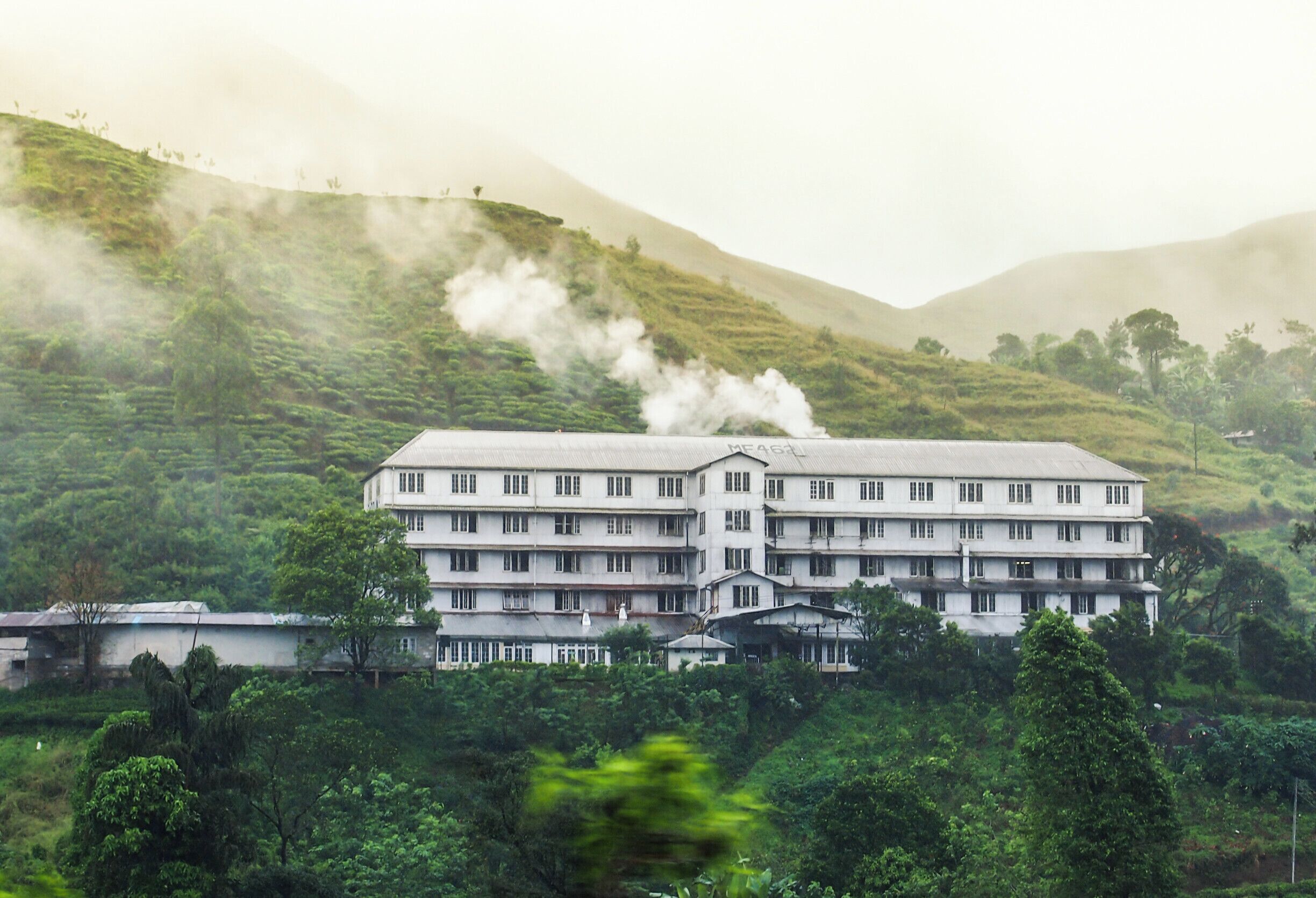 Tea factories are not rare in the up country of Sri Lanka. If you are traveling with the train it's bit unlucky that you will be unable to have a look inside about the process of tea manufacturing. Sri Lanka is a leading tea manufacturing countries in the world as well. You might have heard about Ceylon tea or even tasted it.