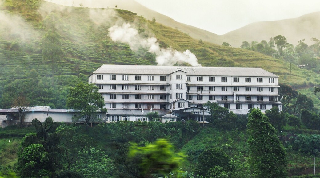 Tea factories are not rare in the up country of Sri Lanka. If you are traveling with the train it's bit unlucky that you will be unable to have a look inside about the process of tea manufacturing. Sri Lanka is a leading tea manufacturing countries in the world as well. You might have heard about Ceylon tea or even tasted it.