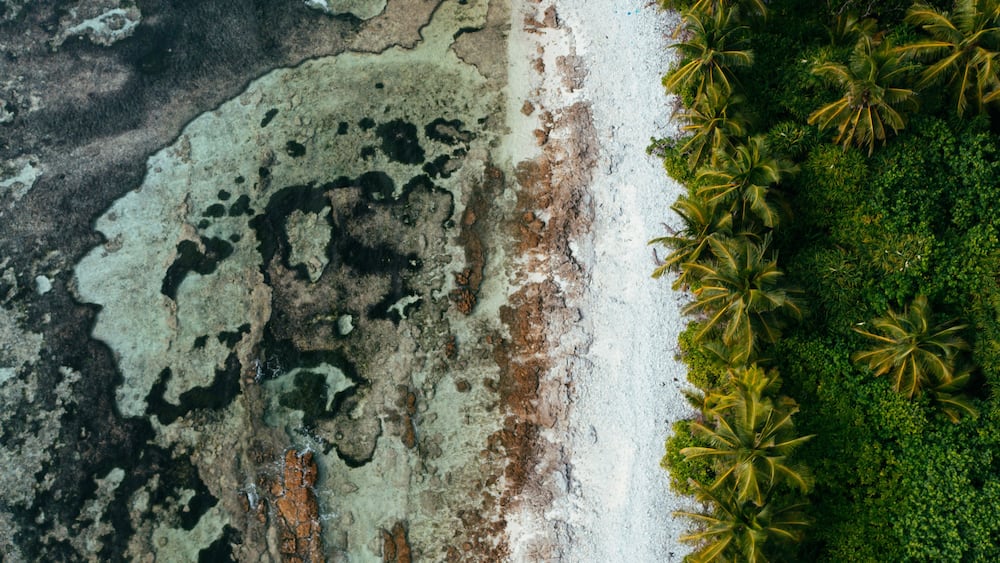 Aerial downshot of the coastline of the tropical Island Fuvahmulah