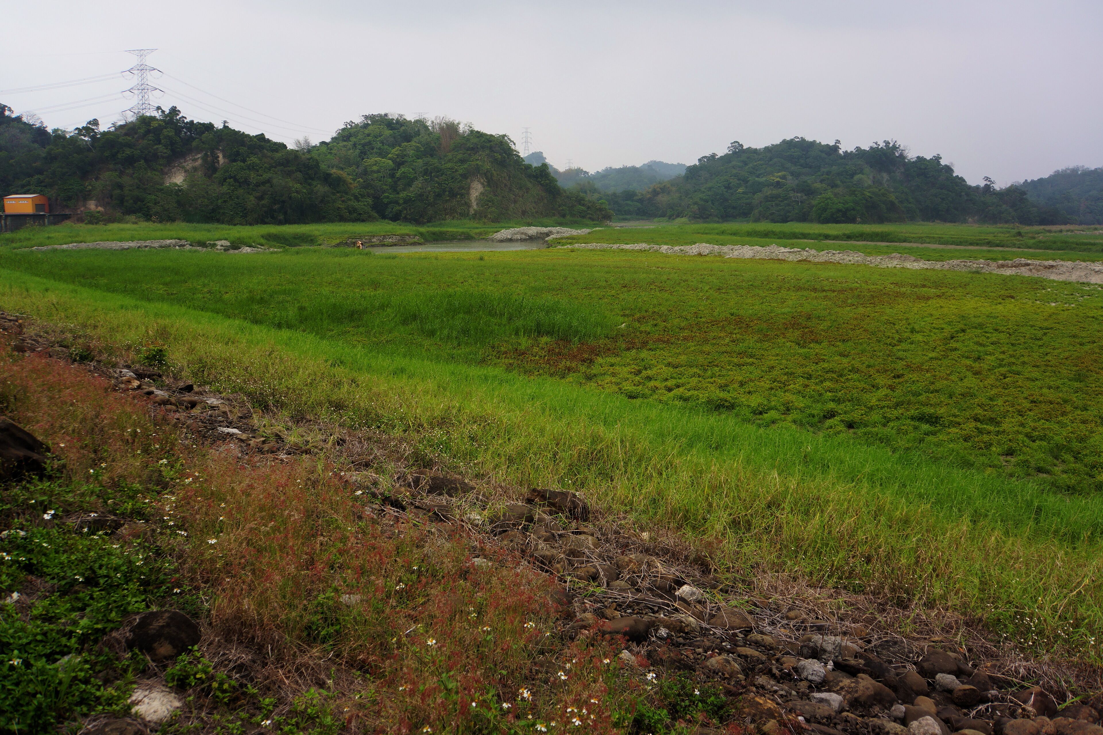 Baihe Reservoir 白河水庫