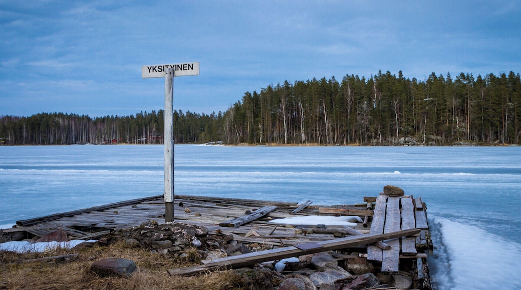 I went to Finland in 2016 with a friend who sells Carelian Caviar all over the world, to see and shoot their production facilities in Varkhaus. We stayed in lovely apartments in Porosalmi. While my friend with his clients were apparently enjoying going back and forth from sauna to frozen lake, I decided instead to explore the local area. Little did I know that the sign was actually saying private property.
#BvSApplication
