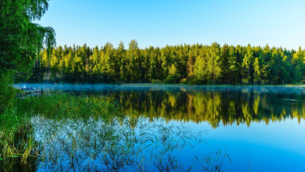 Un lac paisible dont les eaux reflètent la forêt dense qui l’entoure, le tout noyé dans un écrin de verdure.