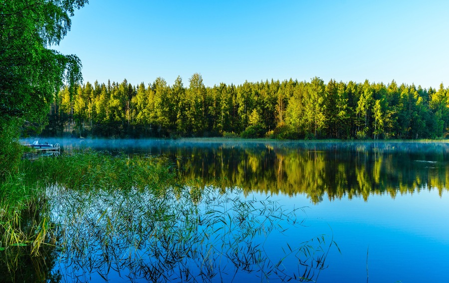 Tyyni järvi, jonka pinnassa heijastuu tiheä metsä, ja järveä ympäröi vehreä kasvillisuus.