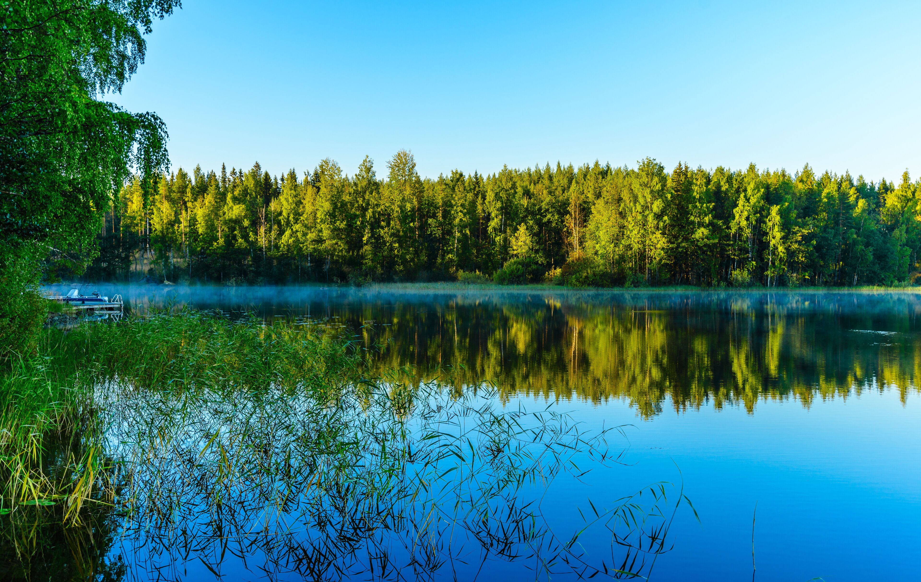 A calm lake with dense forest reflections, surrounded by greenery.