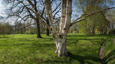 Arboretum Losser Dinkelland Netherlands