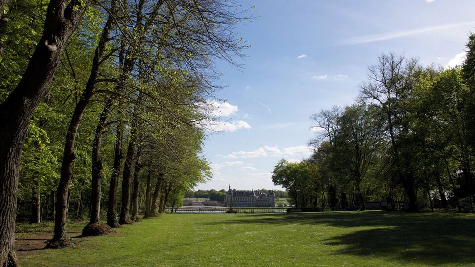 A park with a large lawn, tall trees, and a distant building.