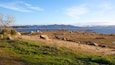 A coastal landscape with a rocky shoreline, grassy areas, and a clear blue sky.