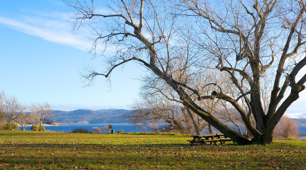 Granite Bay Beach which includes landscape views and a garden