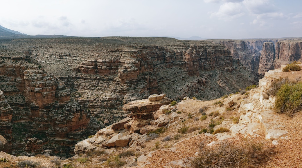 Little Colorado River Gorge, the gateway to historic Grand Canyon. Little Colorado River Navajo Tribal Park, AZ