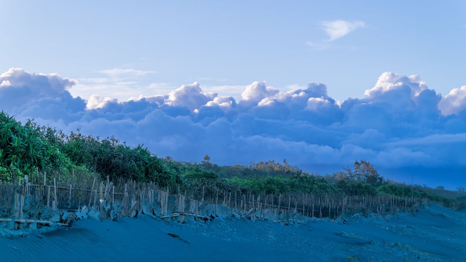 A coastal landscape with a sandy beach, dense vegetation, and a wooden fence.