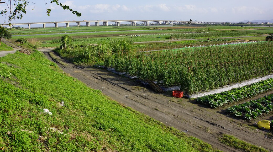 èŁæžæ°Žé«éć
Źè·Ż Jiang Wei-shui Freeway