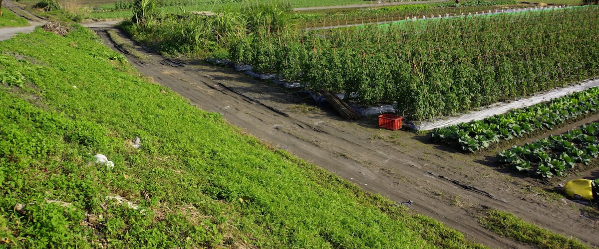 蔣渭水高速公路 Jiang Wei-shui Freeway