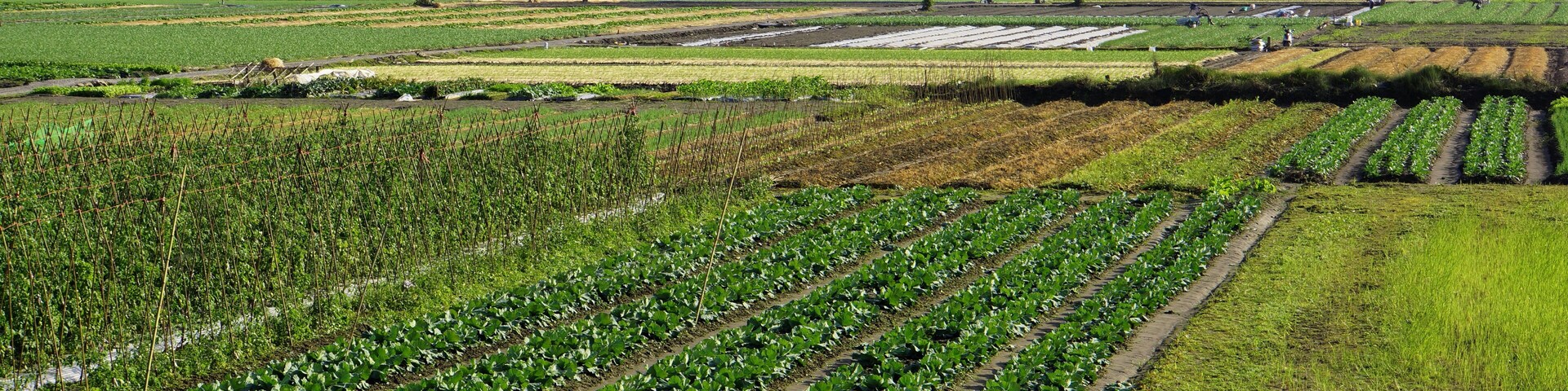 蘭陽溪 Lanyang River