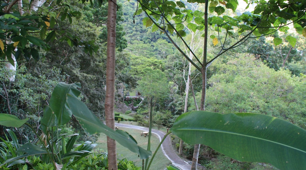 Taitung County Beinan Township Jhihben National Forest Recreation Area