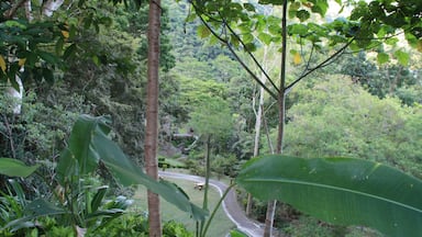 Taitung County Beinan Township Jhihben National Forest Recreation Area