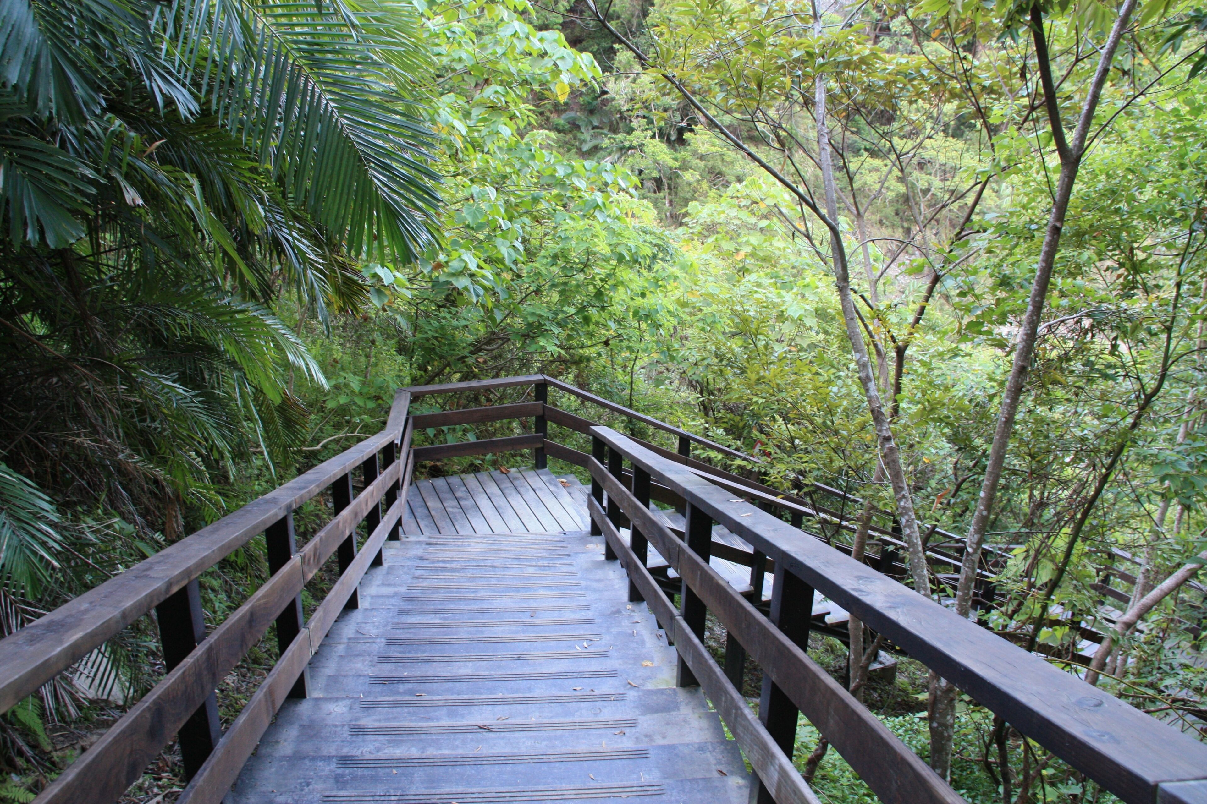 Taitung County Beinan Township Jhihben National Forest Recreation Area