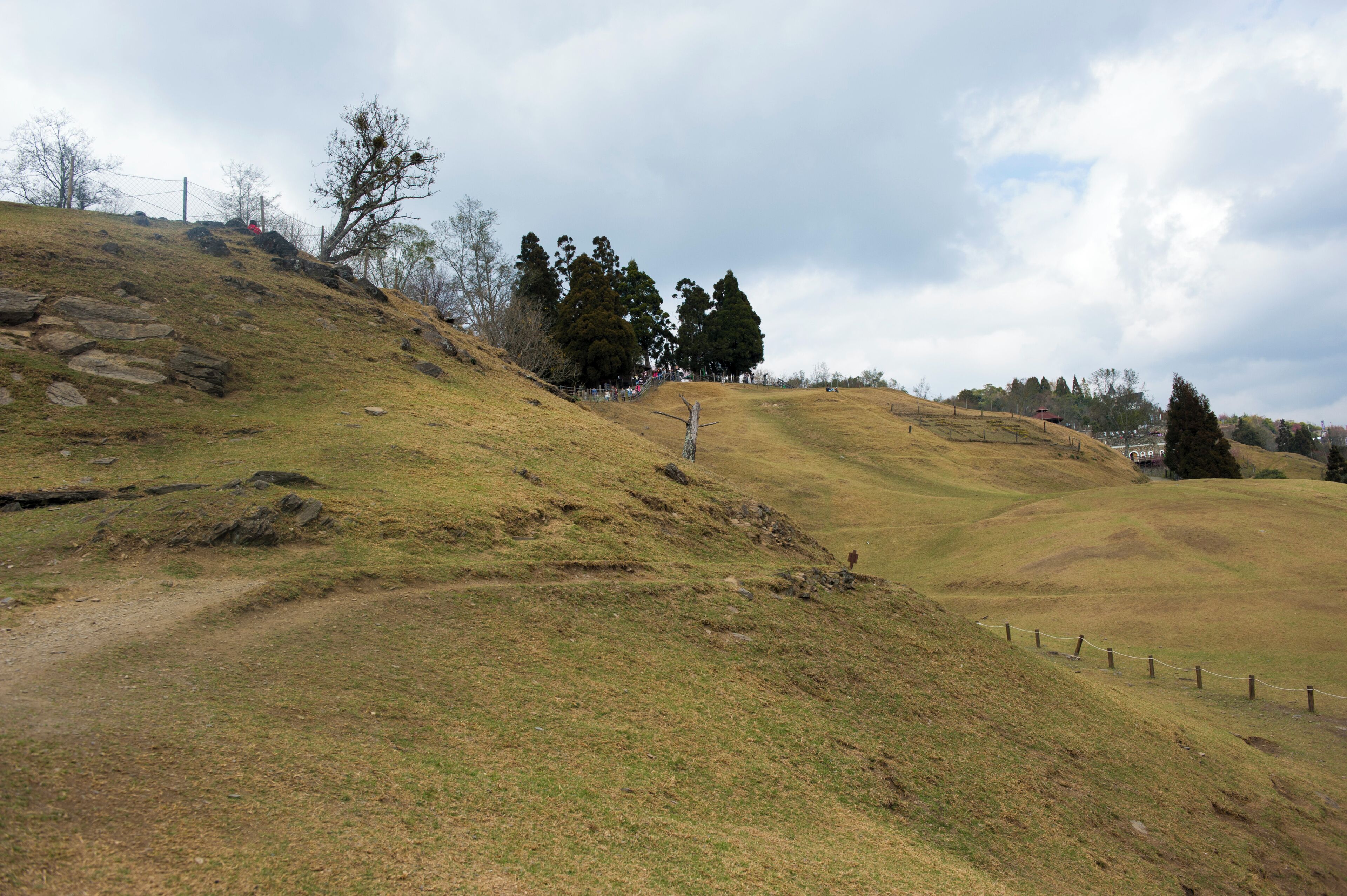 546, Taiwan, 南投縣仁愛鄉大同村