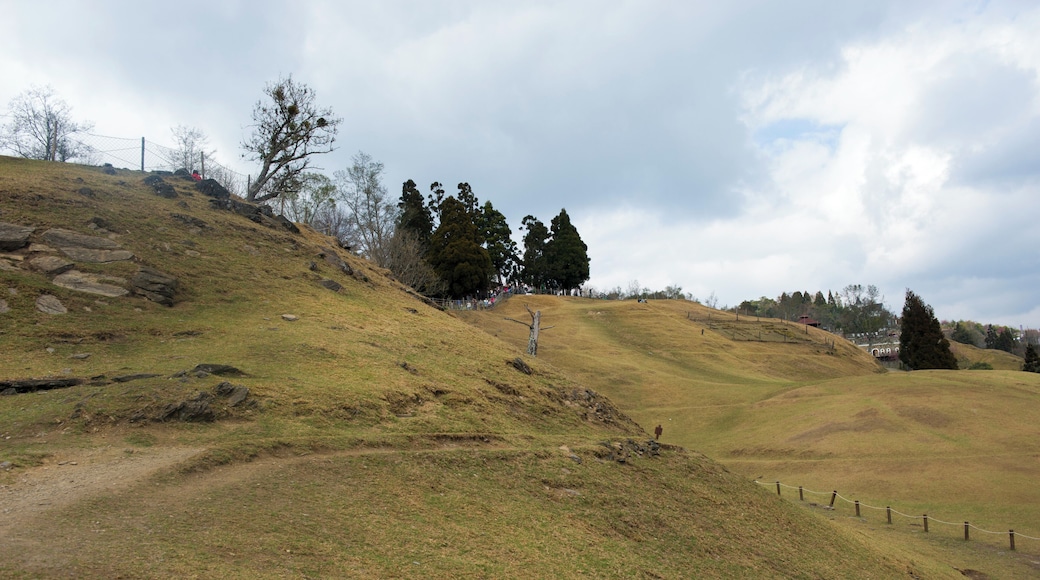 546, Taiwan, 南投縣仁愛鄉大同村