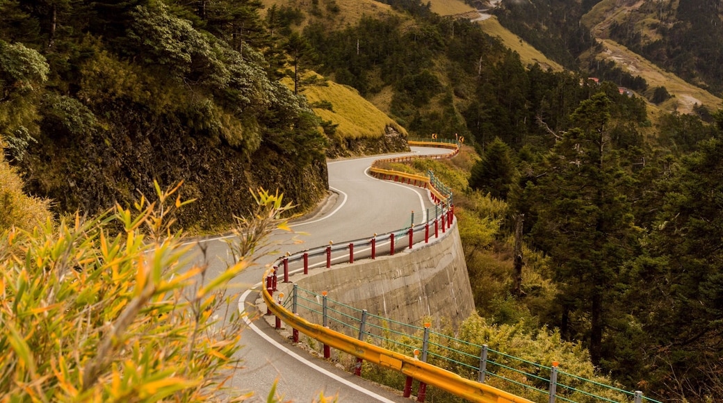 Unbelievable scooter ride from Hualien up to the peak at 10,000m. Make sure to take warm clothes.
