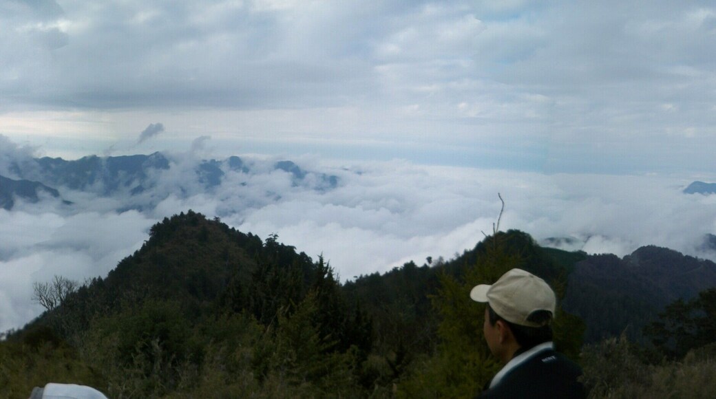 南投縣信義鄉 東埔山山頂風景