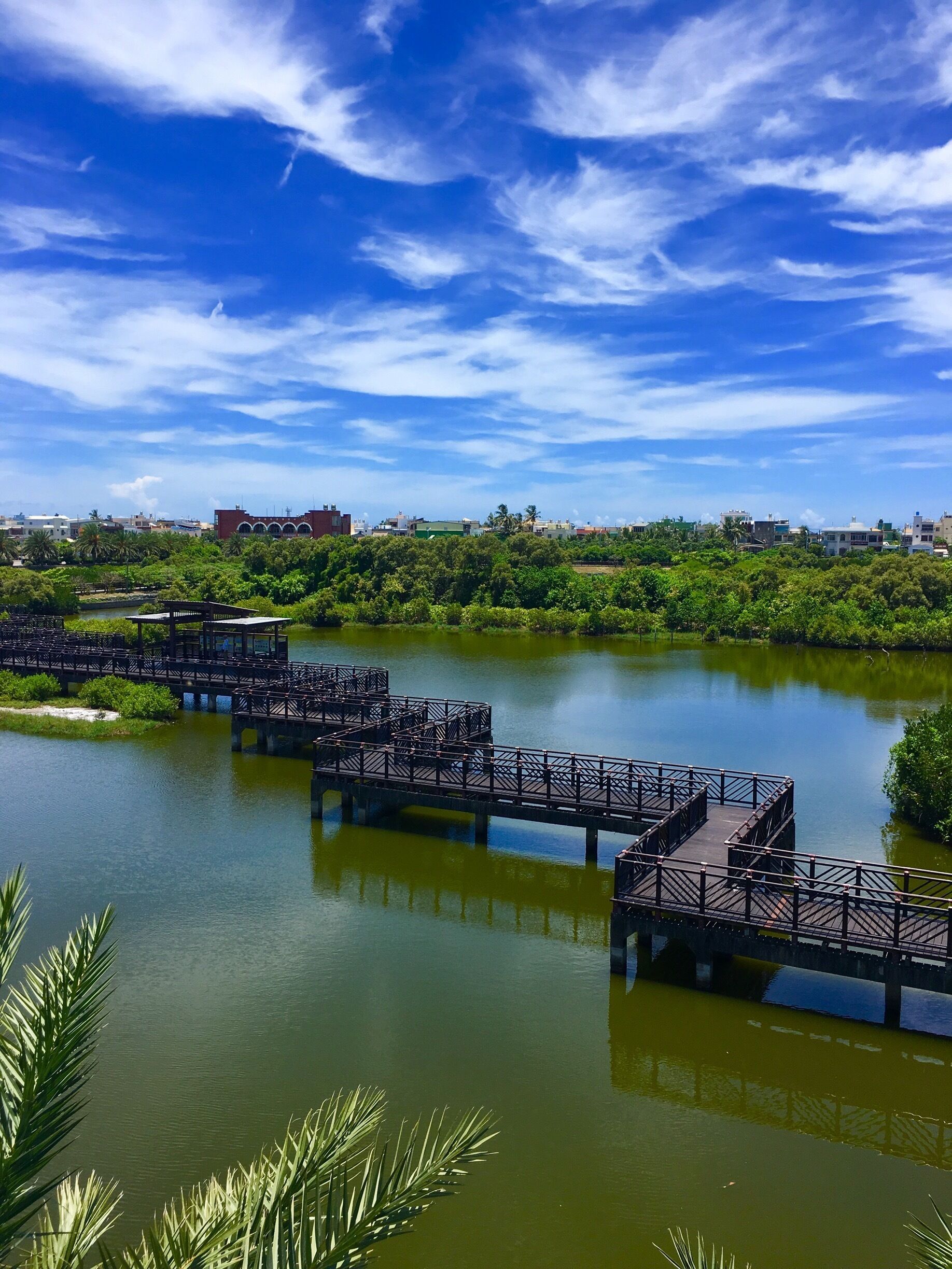 A river with a wooden bridge and surrounding greenery.