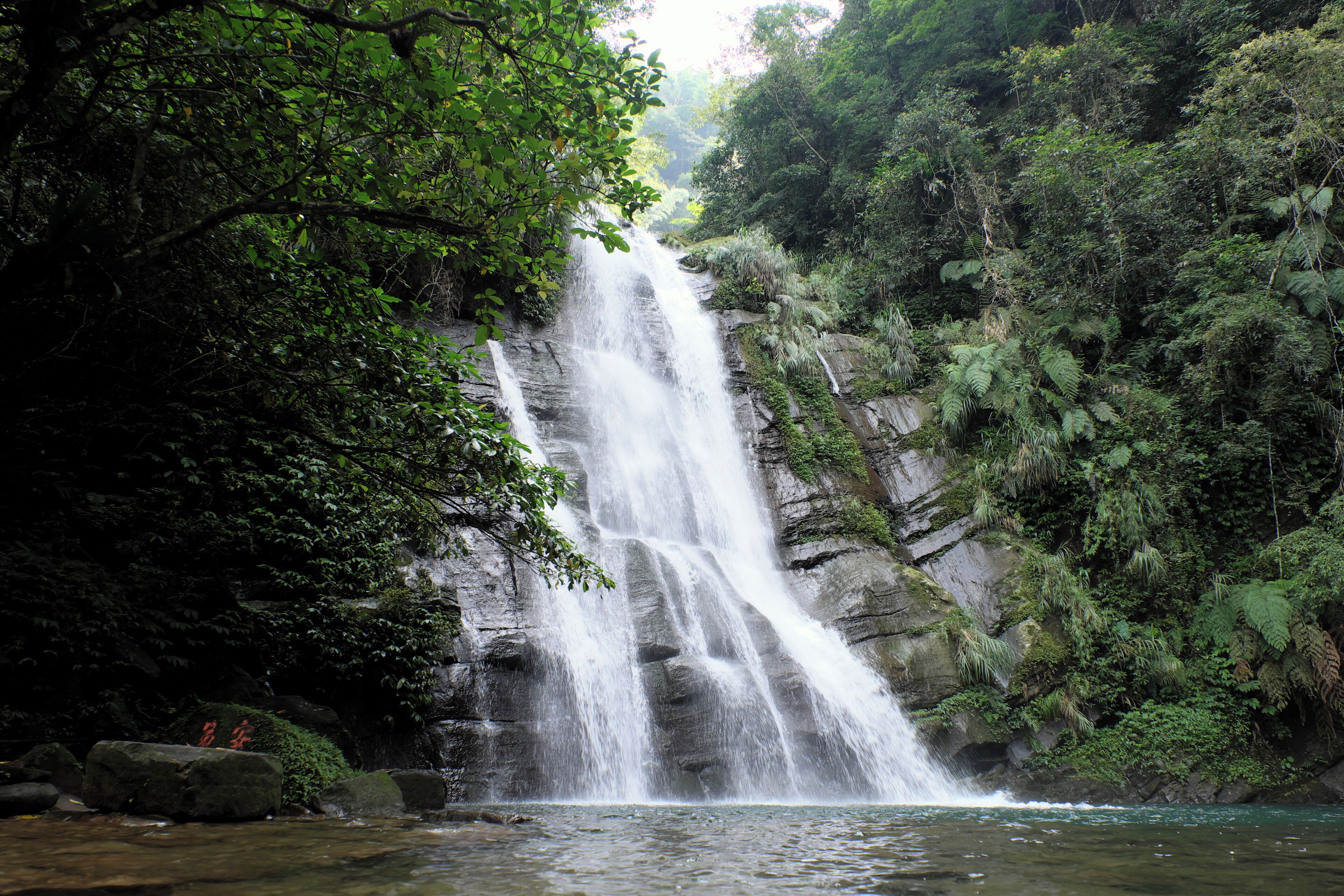 A waterfall cascading down a rocky cliff surrounded by lush greenery.