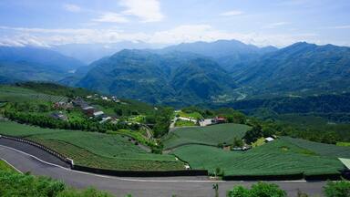 The tea plantations on the hilltop are often shrouded in clouds and fog. Bihushan Tea Garden, Meishan Township. Chiayi County, Taiwan. Sep. 2021