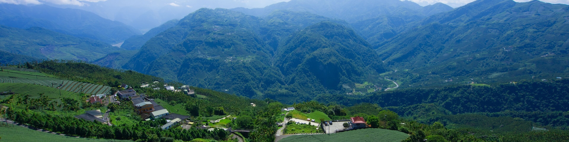 The tea plantations on the hilltop are often shrouded in clouds and fog. Bihushan Tea Garden, Meishan Township. Chiayi County, Taiwan. Sep. 2021