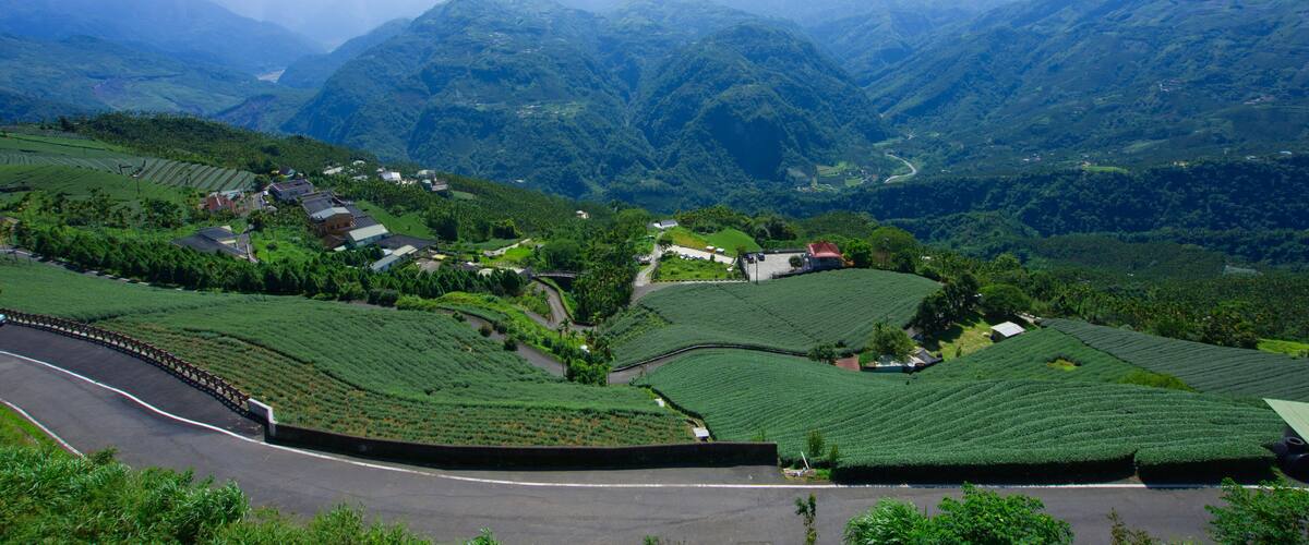 A mountainous landscape with terraced tea fields and scattered houses.