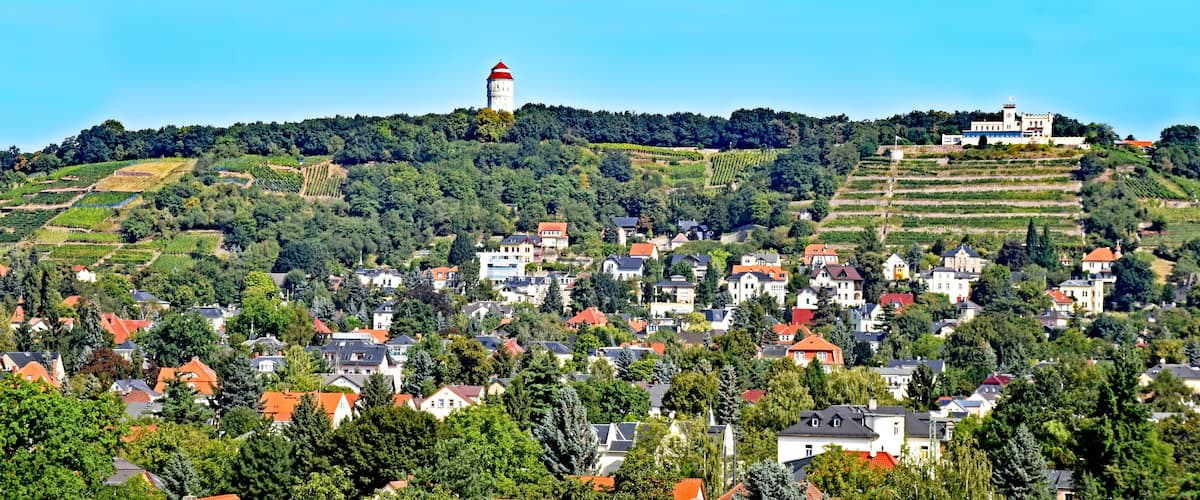 A town with a prominent tower on a hill, surrounded by vineyards and residential buildings.
