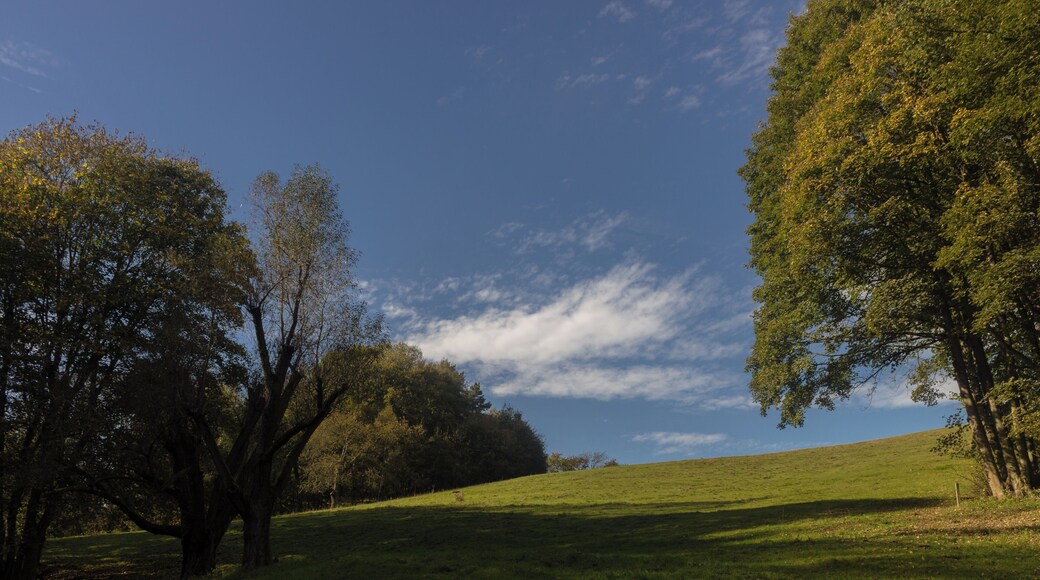 Linkselbische Täler - Eichhörnchengrund - Gauernitz - Sachsen